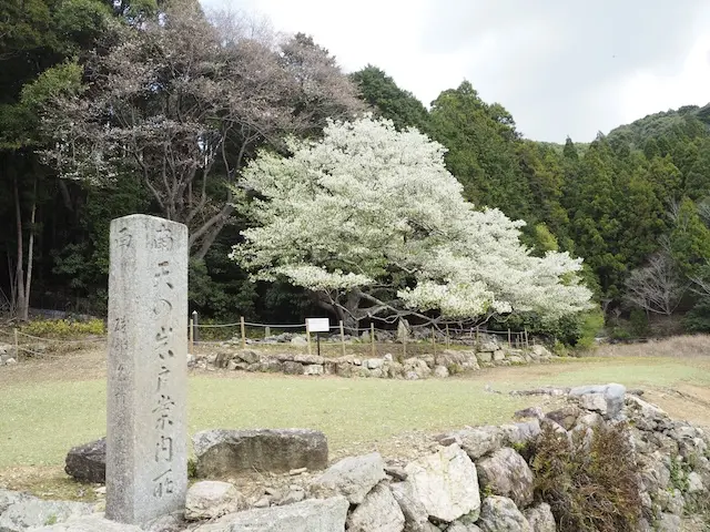 天の岩戸で茶屋 桜