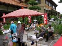 大慈寺 あじさい祭り