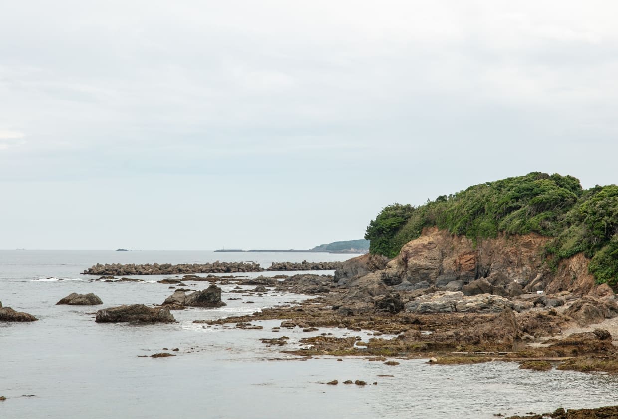 甲賀城