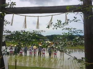 御田植の神事②