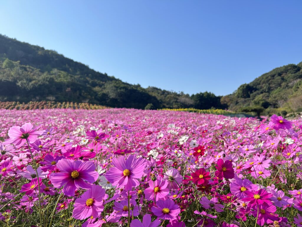 flowergarden miyabiさま 【公式通販】