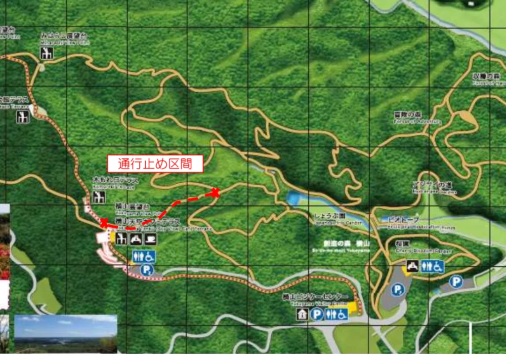 横山創造の森 通行止め区間