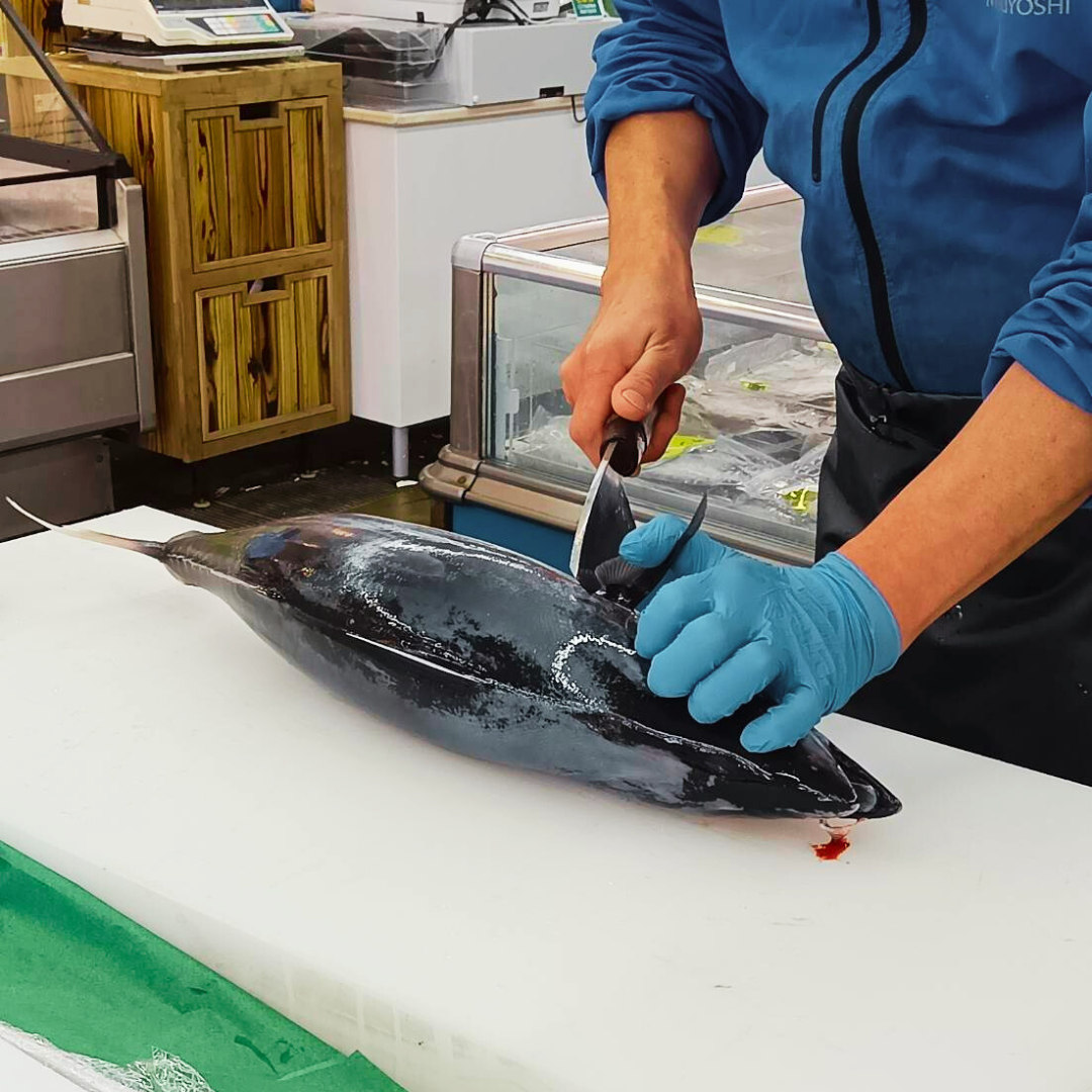 マグロさん　激選　すみっコセット すみっコぐらしofficial web site 資料館