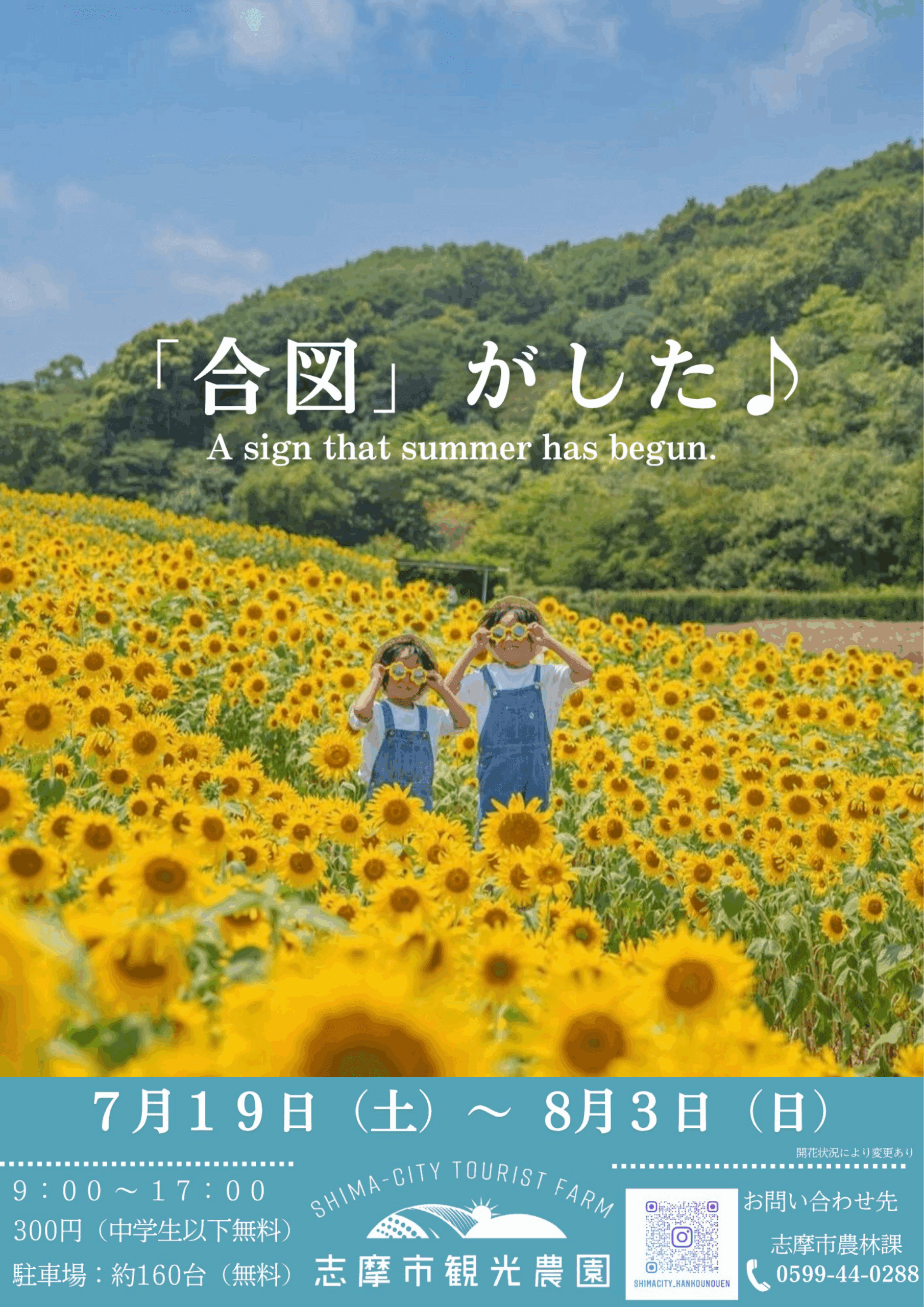 Event] Sunflowers blooming! [Shima City Tourist Farm