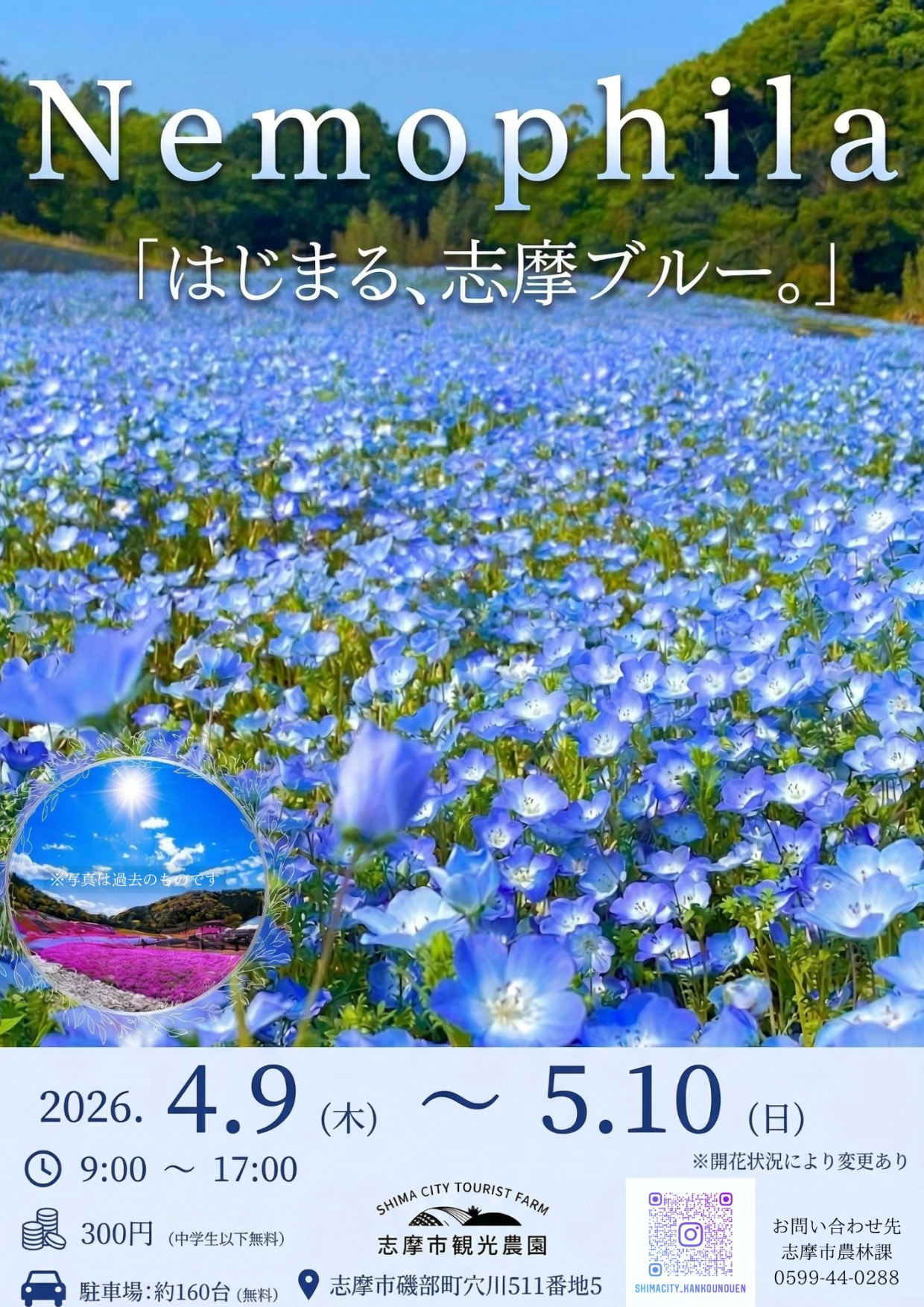 イベント】2026年 ネモフィラ・芝桜 開花！【志摩市観光農園